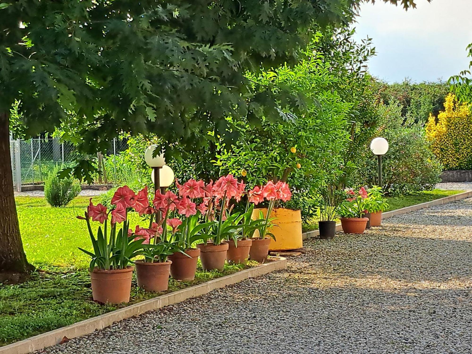 Borgo Barucchella Hotel Sant'Andra Exterior photo