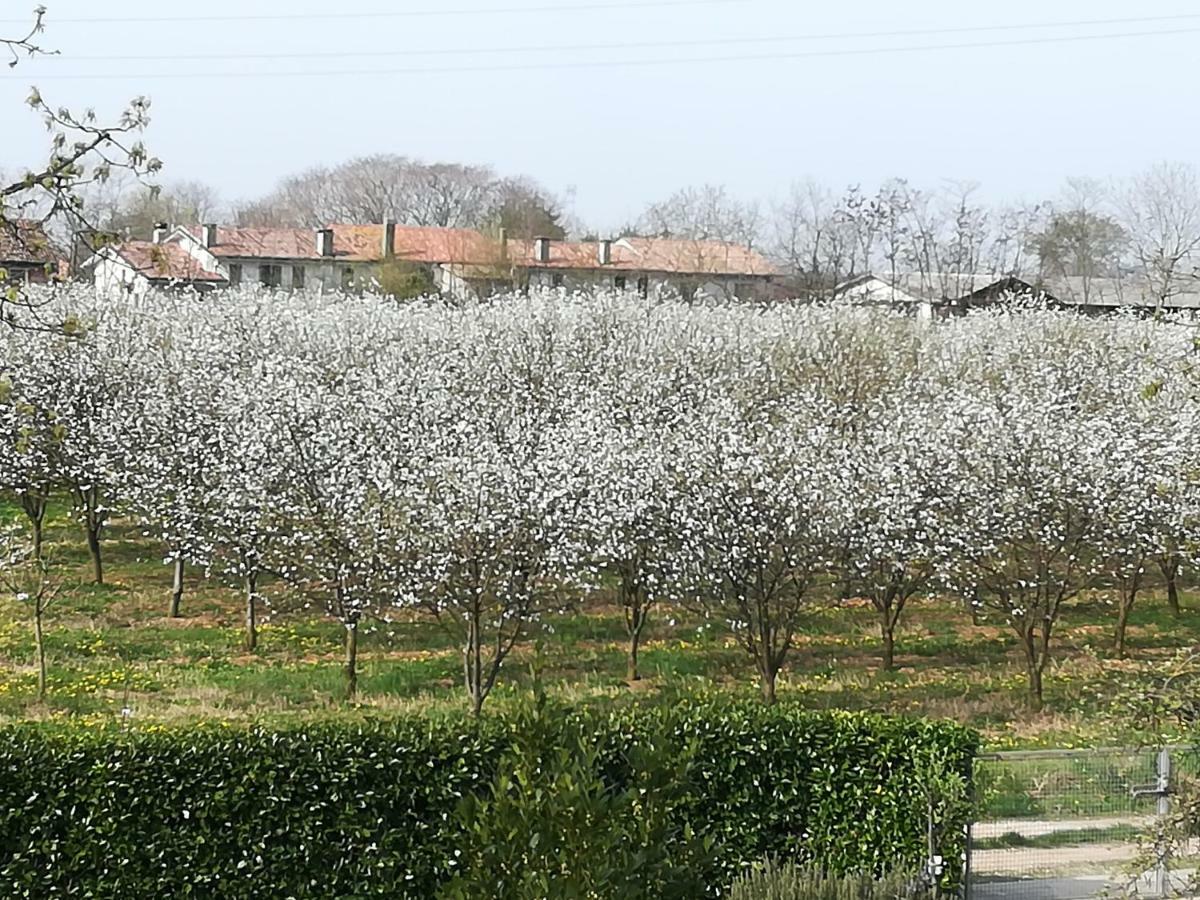 Borgo Barucchella Hotel Sant'Andra Exterior photo